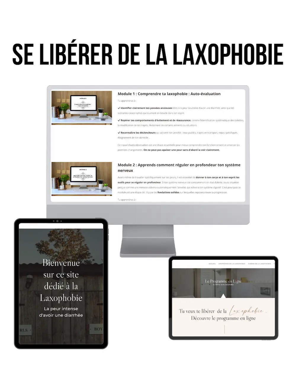 PROGRAMME en ligne LAXOPHOBIE PROGRAMME en ligne LAXOPHOBIE